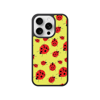 Ladybug